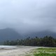 Cape Tribulation