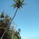 Dunk Island