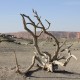 21 Valle de la Luna