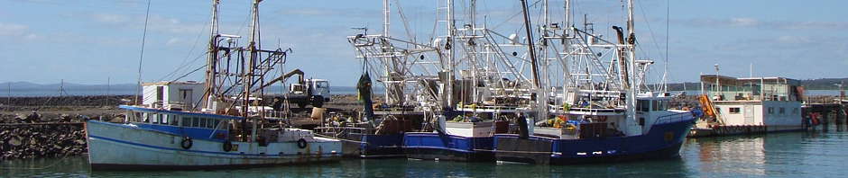 Hervey Bay Banner