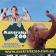 01 Australia Zoo