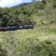 01 Kuranda Scenic Railway