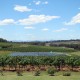 06 Hunter Valley