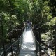 06 Mossman Gorge National Park