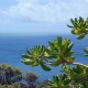 08 Fitzroy Island