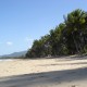 09 Palm Cove