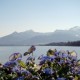 05 Chiemsee