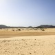 164 Dunas de Corralejo